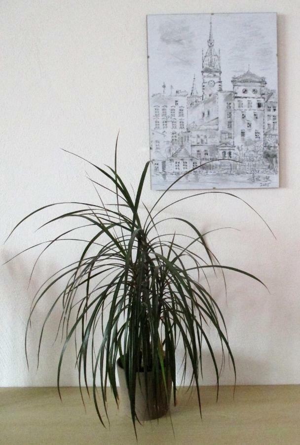 Kousek Do Prirody I Do Centra Appartamento Písek Esterno foto